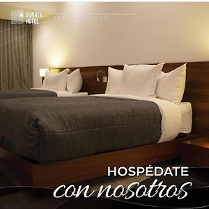 Habitación Deluxe con Cama Queen