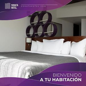 Suite Estándar con Cama King